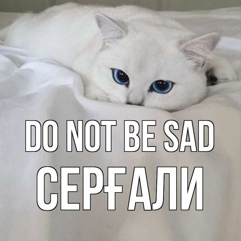 Greetings card с именем, СЕРҒАЛИ Do not be sad белый кот с голубыми глазами на белоснежной кровати Greetings with text for free download 