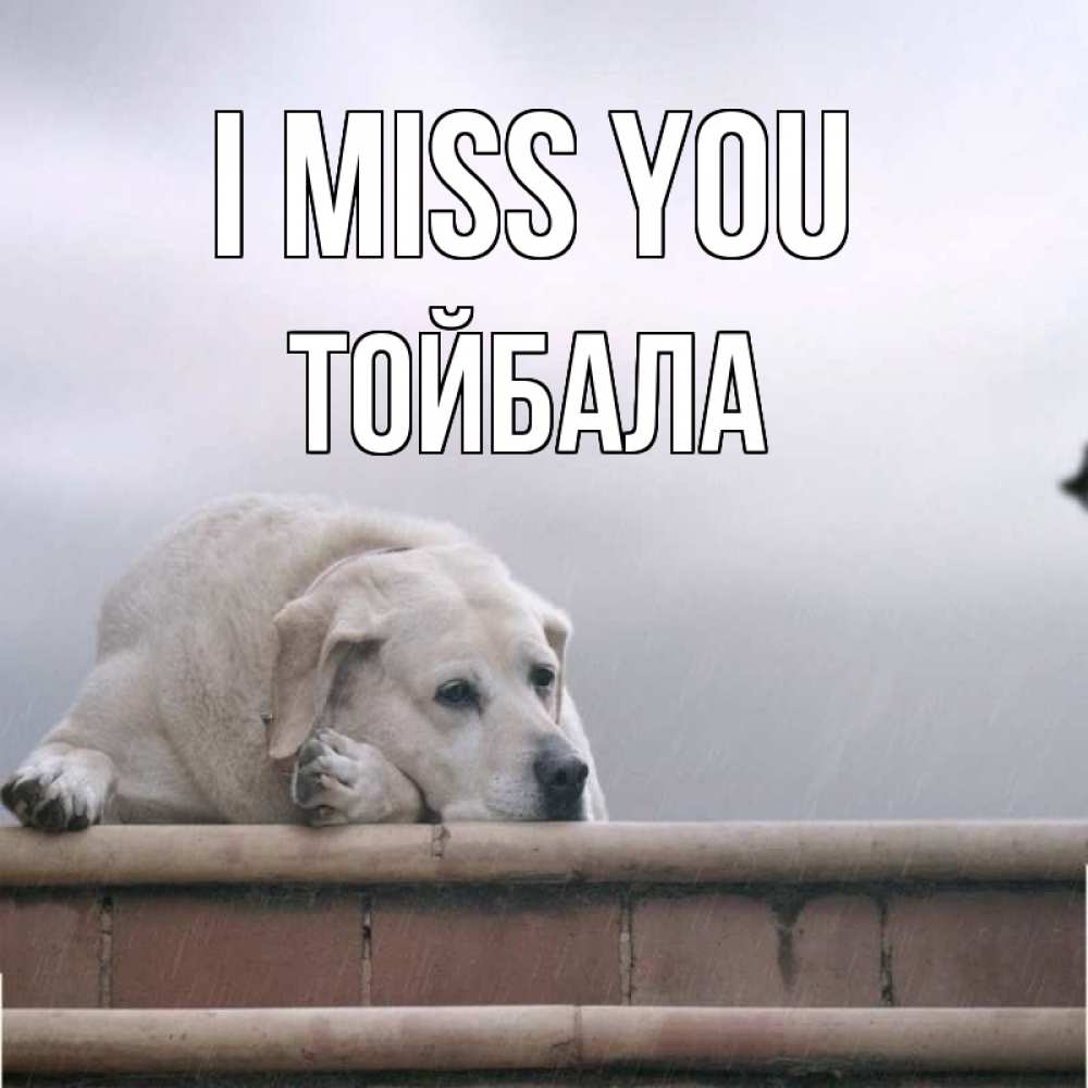 Greetings card с именем, ТОЙБАЛА I miss you ждет Greetings with text for free download 