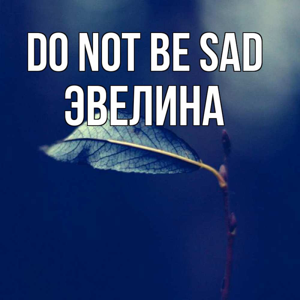 Greetings card с именем, Эвелина Do not be sad растение Greetings with text for free download 