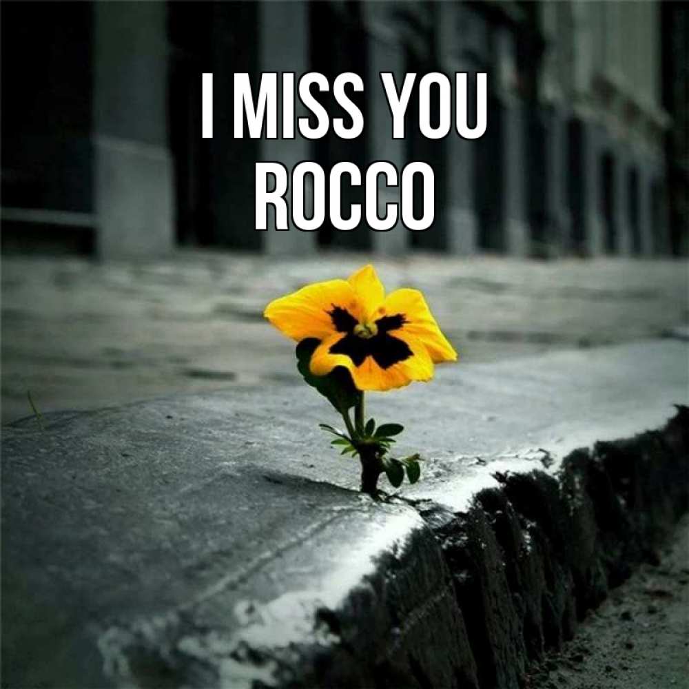 Greetings card с именем, Rocco I miss you надеюсь будет лучше Greetings with text for free download 