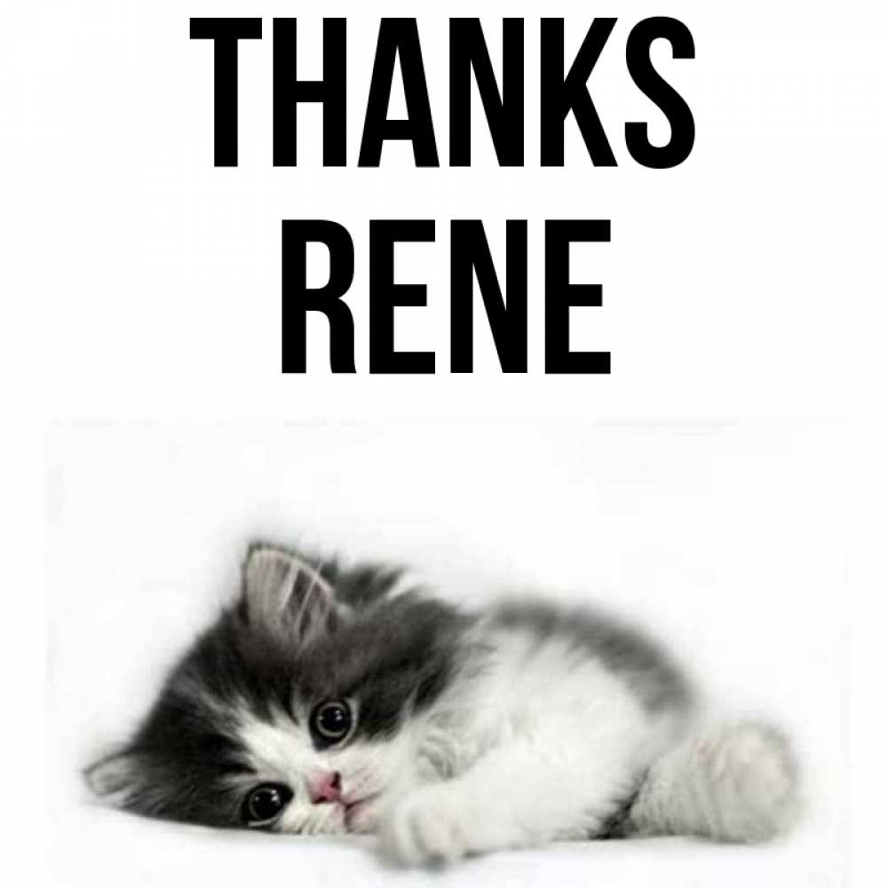 Greetings card с именем, Rene Thanks черный и белый кот Greetings with text for free download 