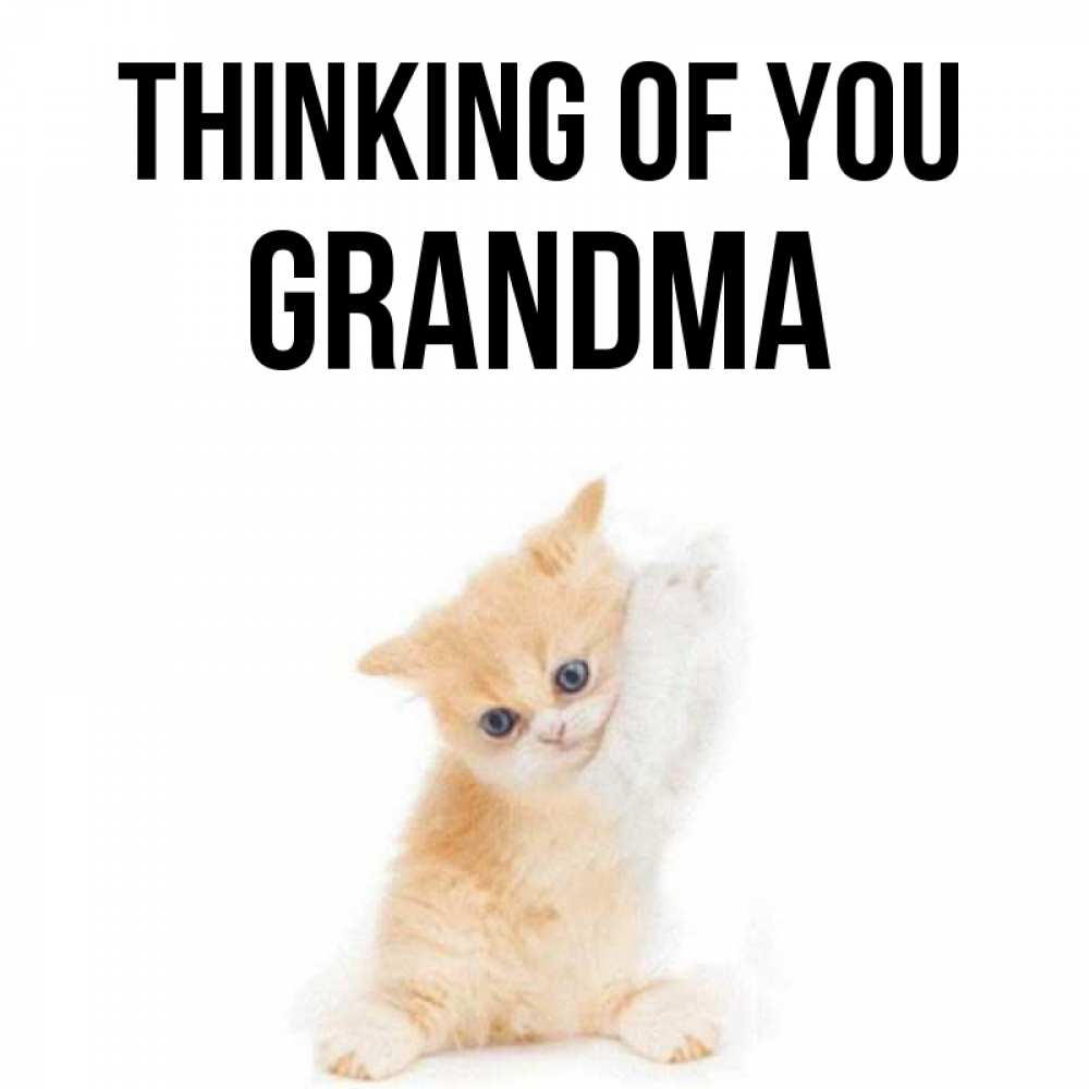 Greetings card с именем, grandma Thinking of you зверушки и милота Greetings with text for free download 