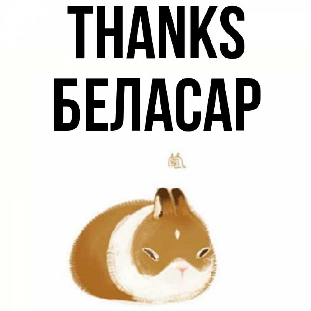 Greetings card с именем, Беласар Thanks коричнево белый домашний питомец Greetings with text for free download 