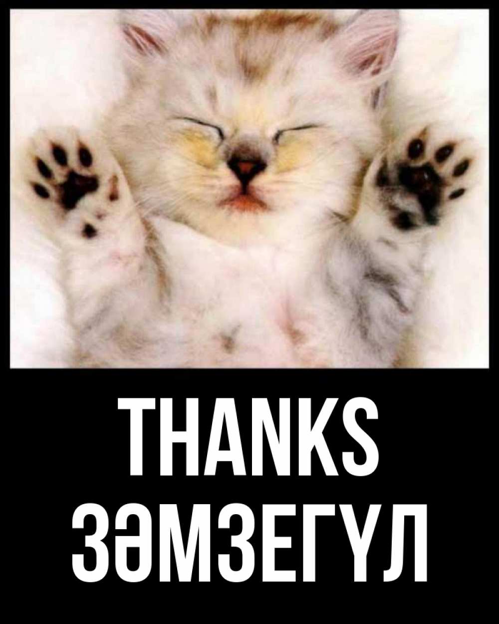 Greetings card с именем, ЗӘМЗЕГҮЛ Thanks маленький котенок Greetings with text for free download 