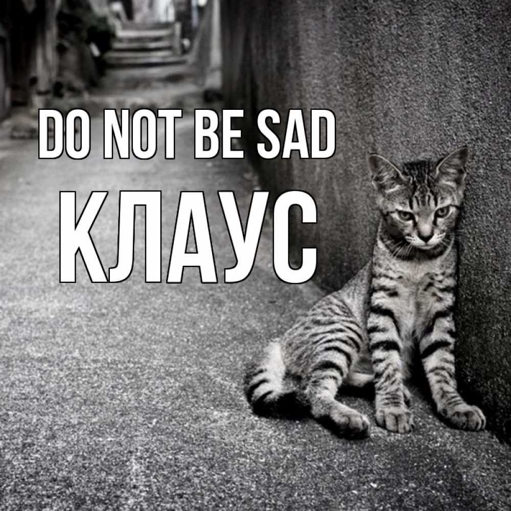 Greetings card с именем, Клаус Do not be sad скучающий котик Greetings with text for free download 