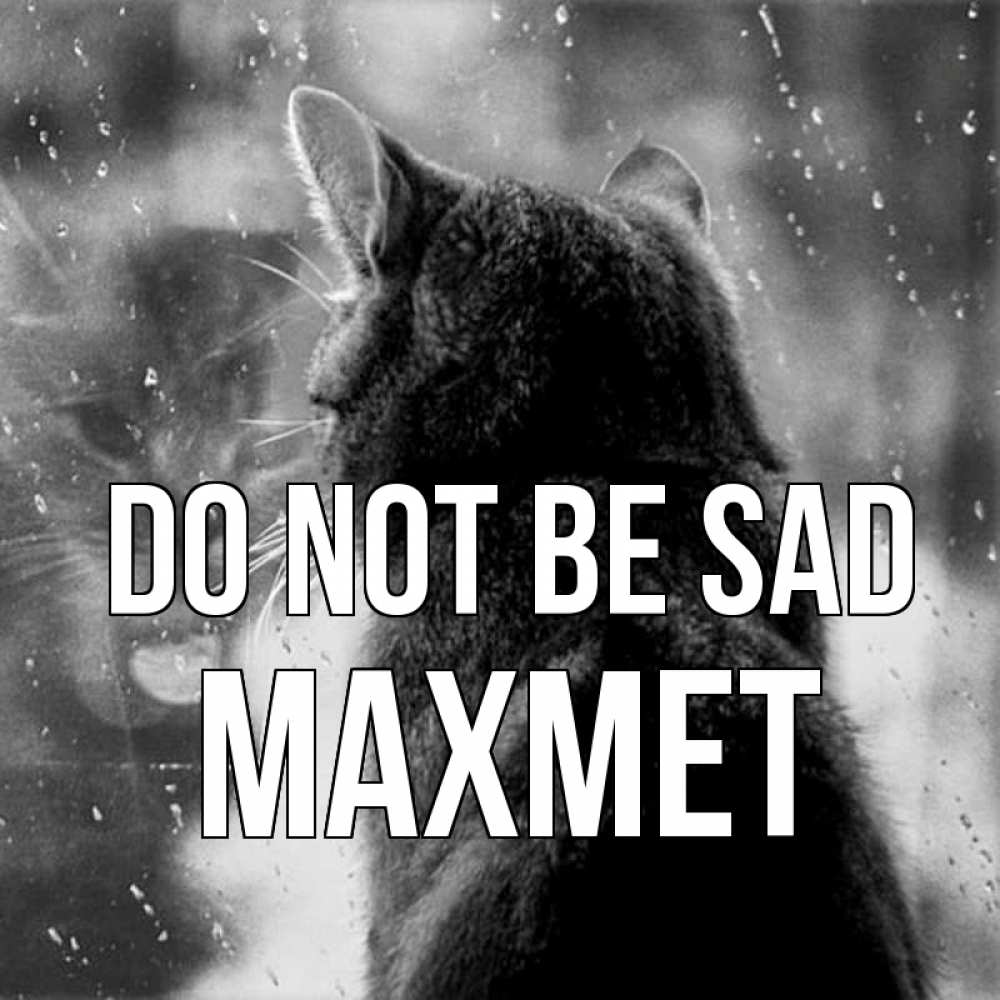Greetings card с именем, МАХМЕТ Do not be sad отражение кота 1 Greetings with text for free download 
