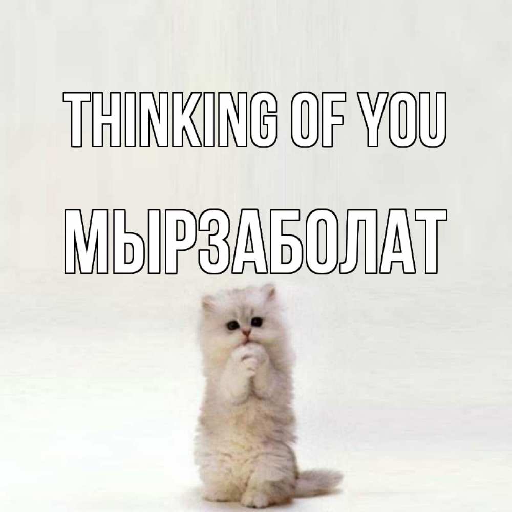 Greetings card с именем, Мырзаболат Thinking of you кот стоит на задних лапах Greetings with text for free download 