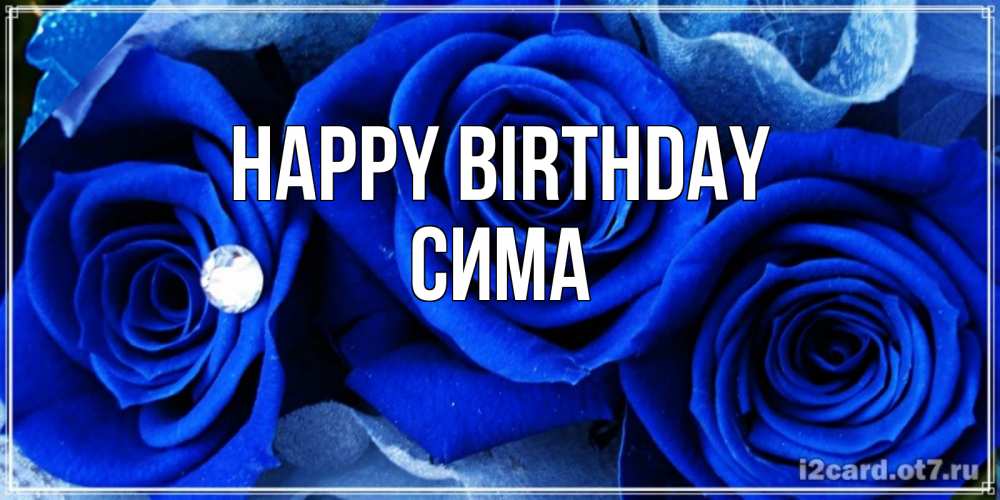 Greetings card с именем, Сима Happy Birthday синие розы в росе Greetings with text for free download 