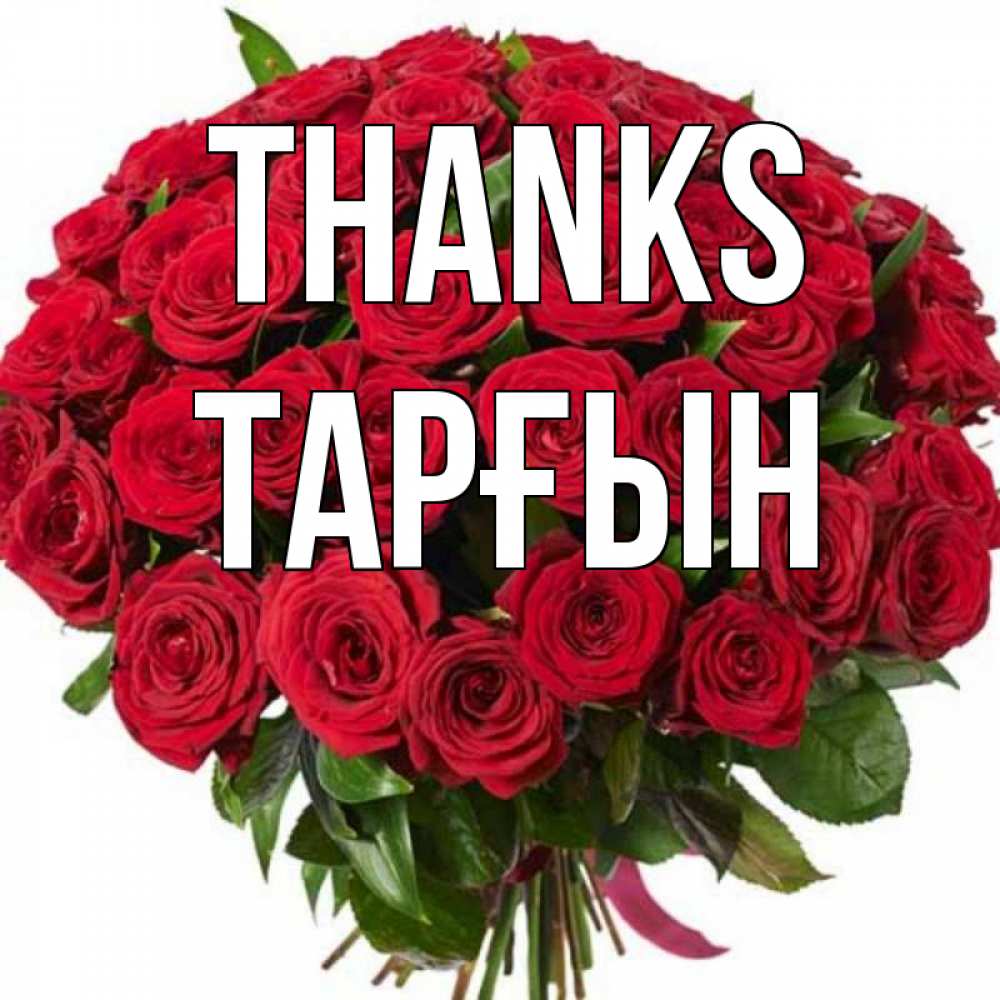 Greetings card с именем, ТАРҒЫН Thanks букет красных роз Greetings with text for free download 
