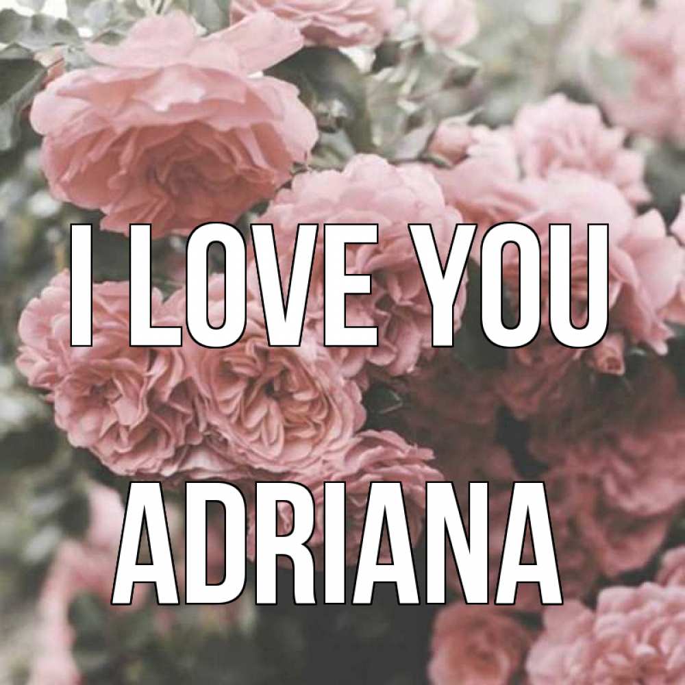Greetings card с именем, Adriana I love you розы 3 Greetings with text for free download 