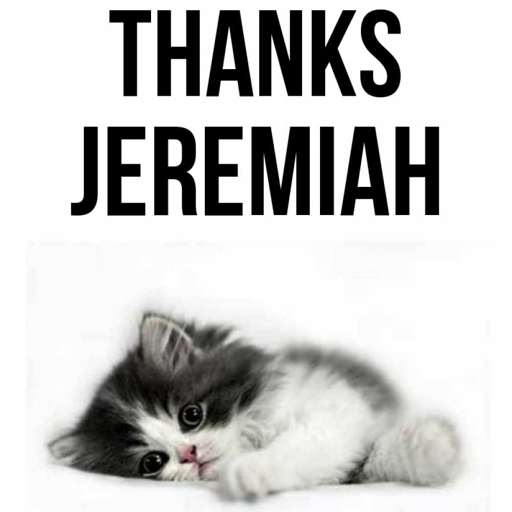 Greetings card с именем, Jeremiah Thanks черный и белый кот Greetings with text for free download 