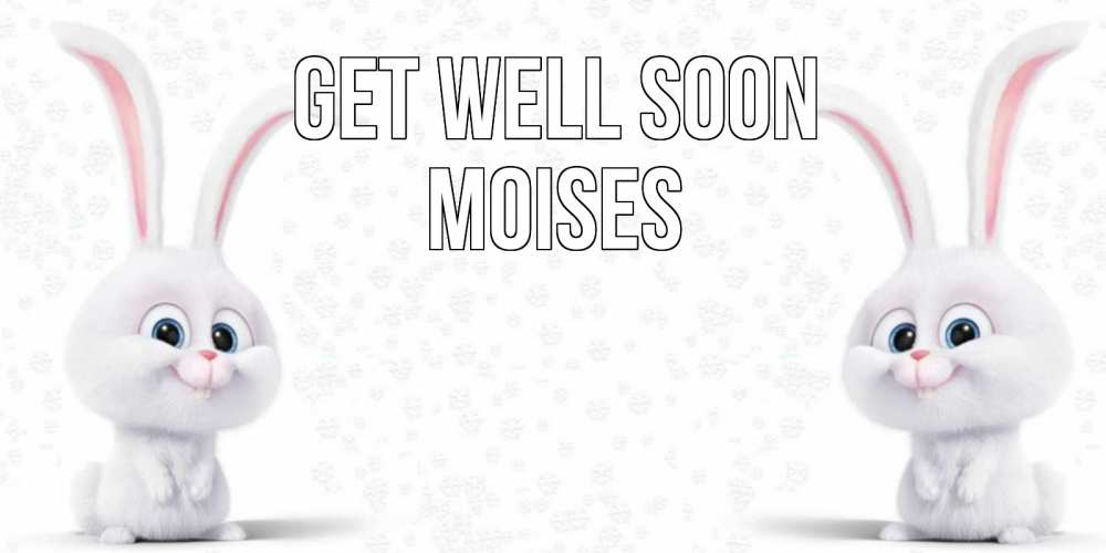 Greetings card с именем, Moises Get well soon не болей с зайцем Greetings with text for free download 