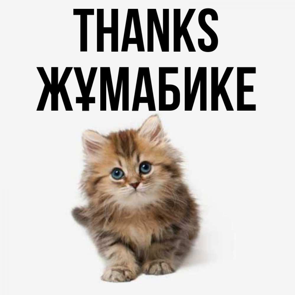 Greetings card с именем, ЖҰМАБИКЕ Thanks пушистый котик Greetings with text for free download 