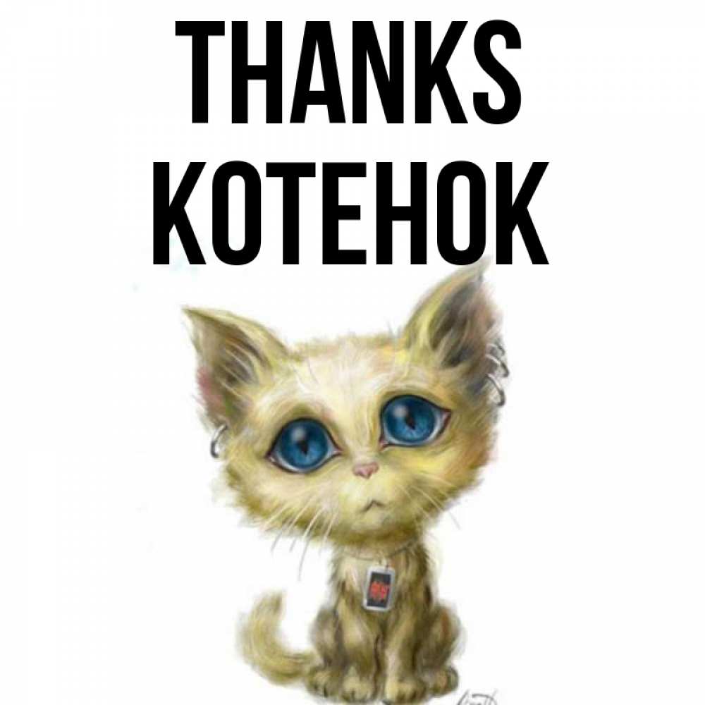 Greetings card с именем, Котенок Thanks рисованный кот благодарит вас Greetings with text for free download 