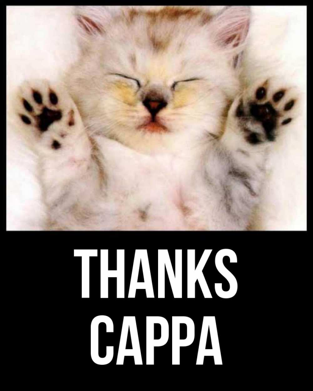 Greetings card с именем, Сарра Thanks маленький котенок Greetings with text for free download 