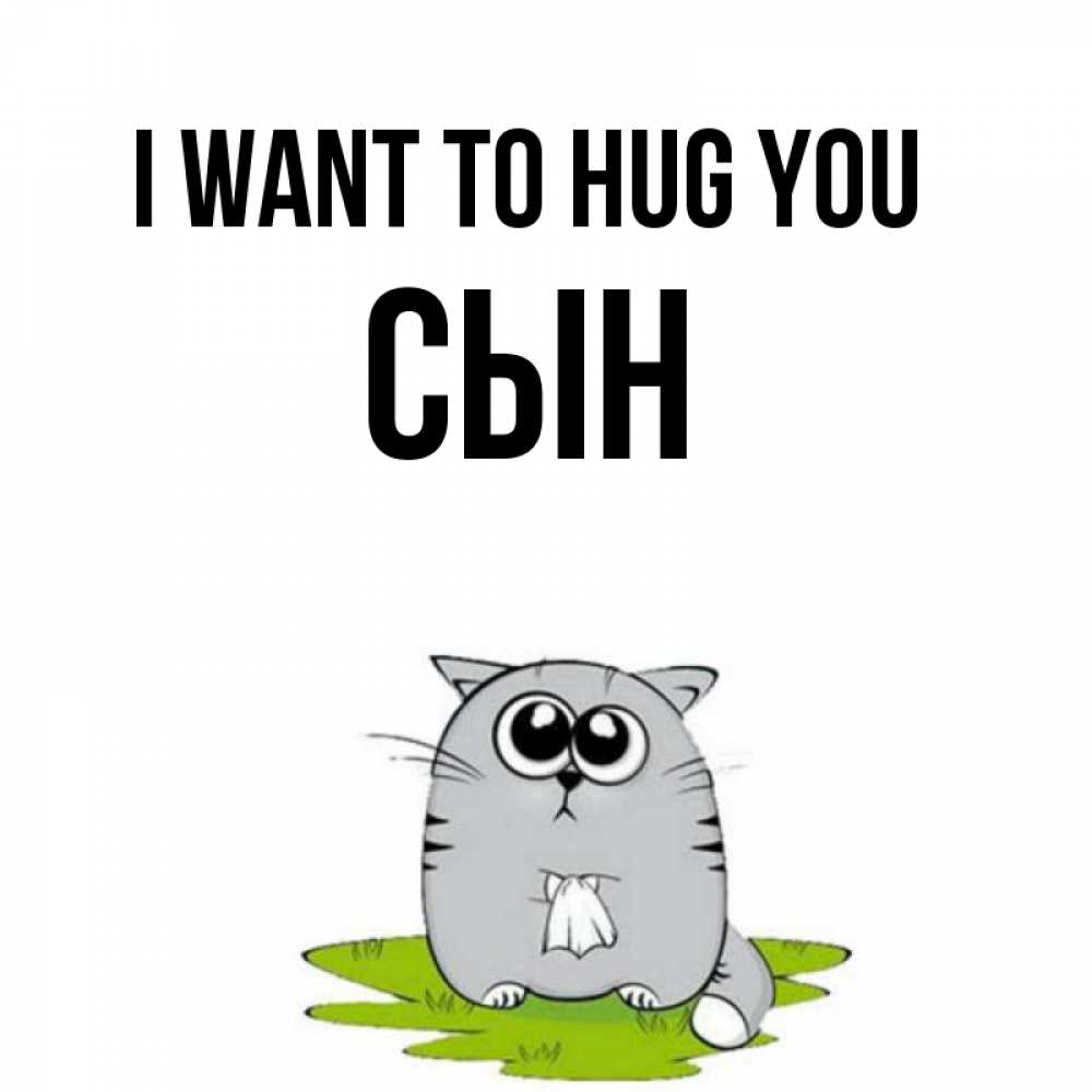 Greetings card с именем, Сын I want to hug you котик теребит платочек сидя на травке Greetings with text for free download 