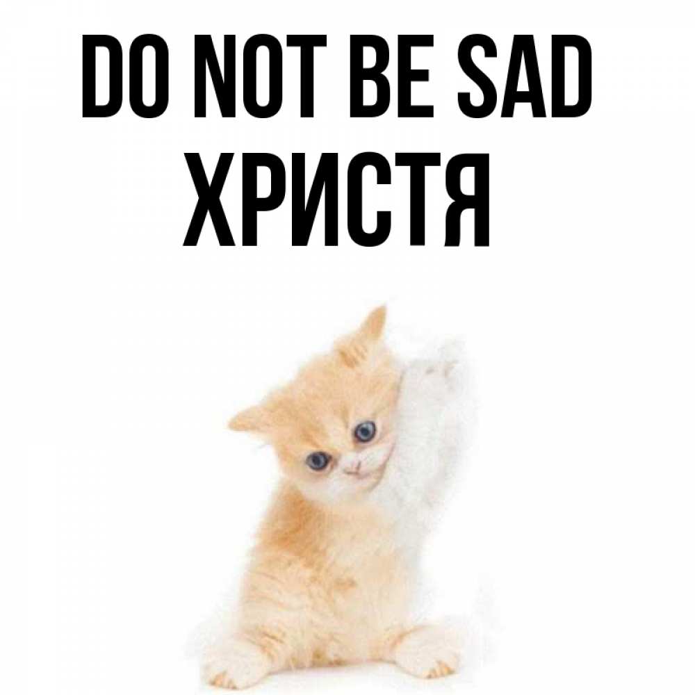Greetings card с именем, Христя Do not be sad просящий кот Greetings with text for free download 