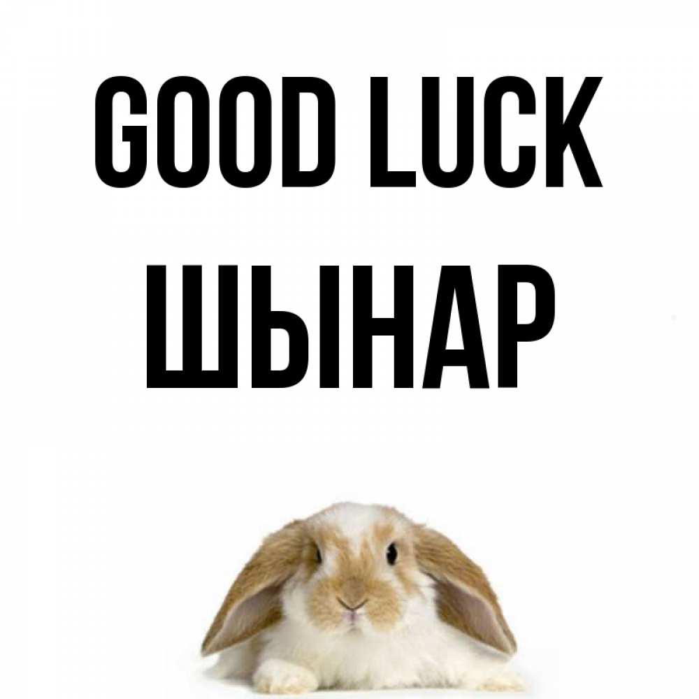 Greetings card с именем, ШЫНАР Good luck открытки с произвольным текстом который можно вставить в открытку и создать ее самостоятельно бесплатно онлайн Greetings with text for free download 