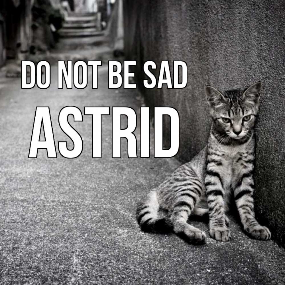 Greetings card с именем, Astrid Do not be sad скучающий котик Greetings with text for free download 
