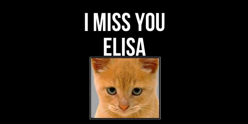Greetings card с именем, Elisa I miss you открытки рыжий котенок скучает по тебе Greetings with text for free download 