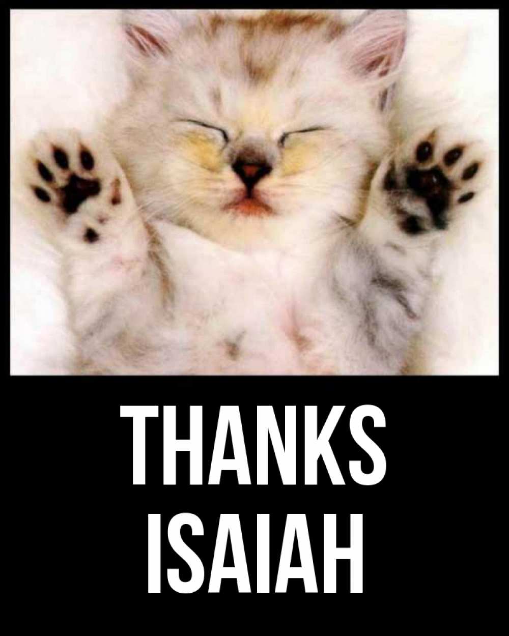 Greetings card с именем, Isaiah Thanks маленький котенок Greetings with text for free download 