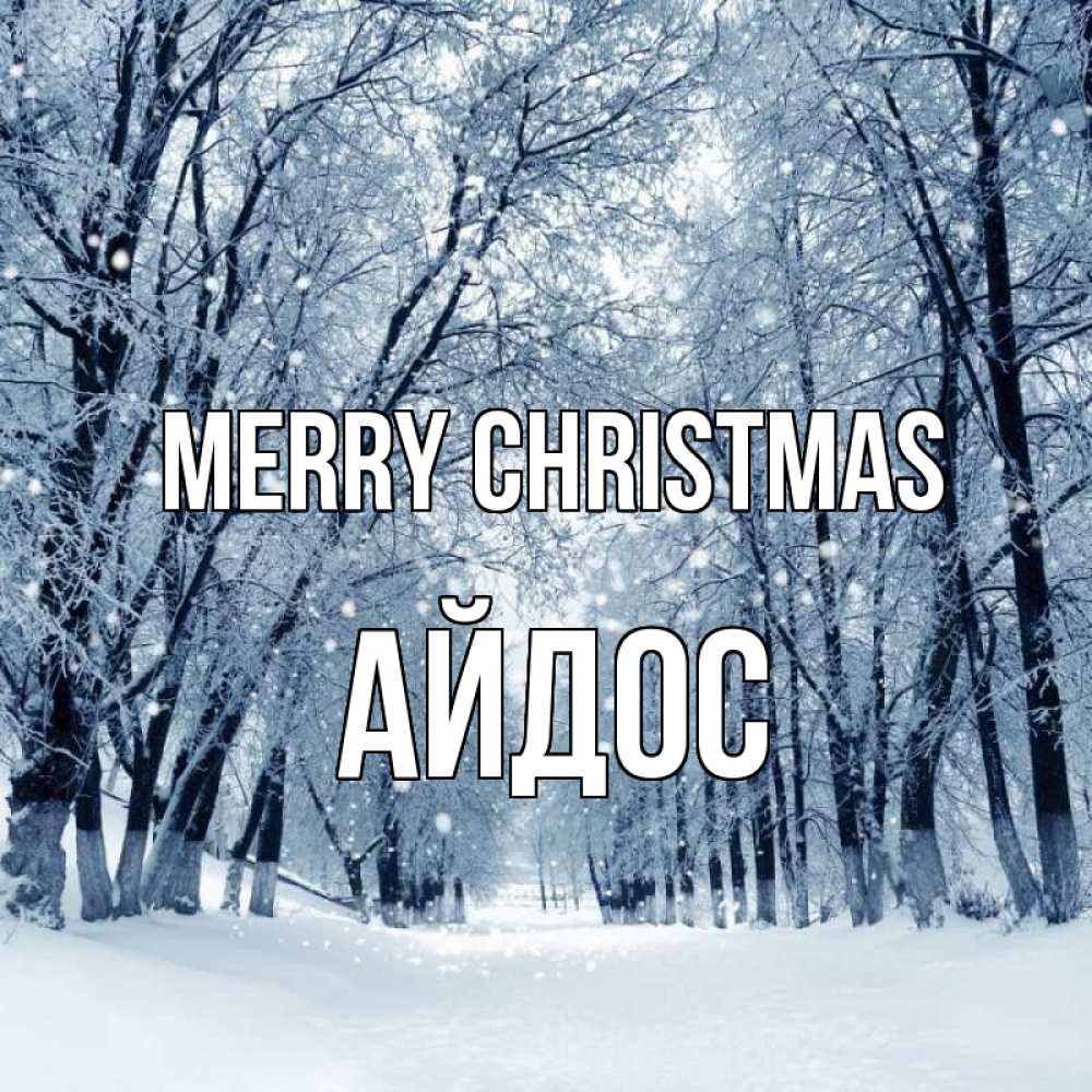 Greetings card с именем, Айдос Merry Christmas снег, лес, парк Greetings with text for free download 