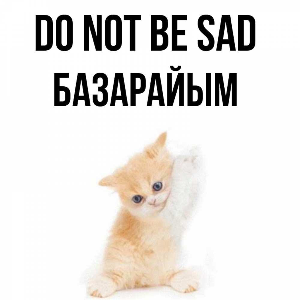 Greetings card с именем, БАЗАРАЙЫМ Do not be sad просящий кот Greetings with text for free download 