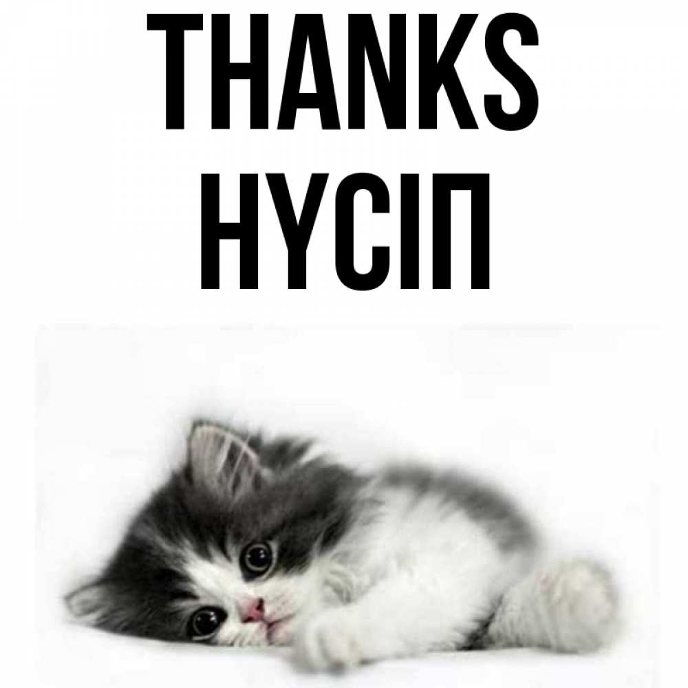 Greetings card с именем, НҮСІП Thanks черный и белый кот Greetings with text for free download 