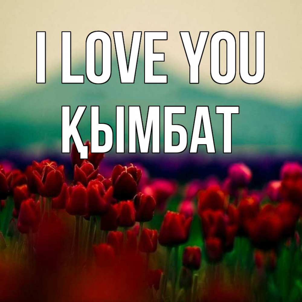 Greetings card с именем, ҚЫМБАТ I love you тюльпаны 4 Greetings with text for free download 