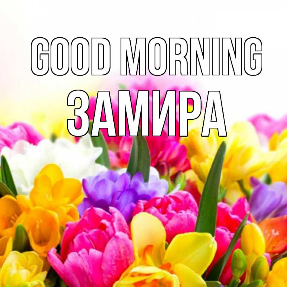 Greetings card с именем, ЗАМИРА Good morning создать открытку со свое подписью Greetings with text for free download 