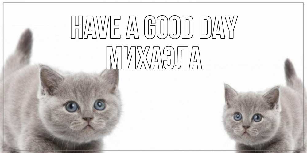 Greetings card с именем, Михаэла Have a good day открытка с котами Greetings with text for free download 