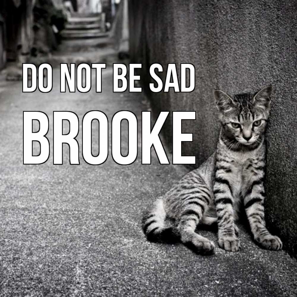 Greetings card с именем, Brooke Do not be sad скучающий котик Greetings with text for free download 