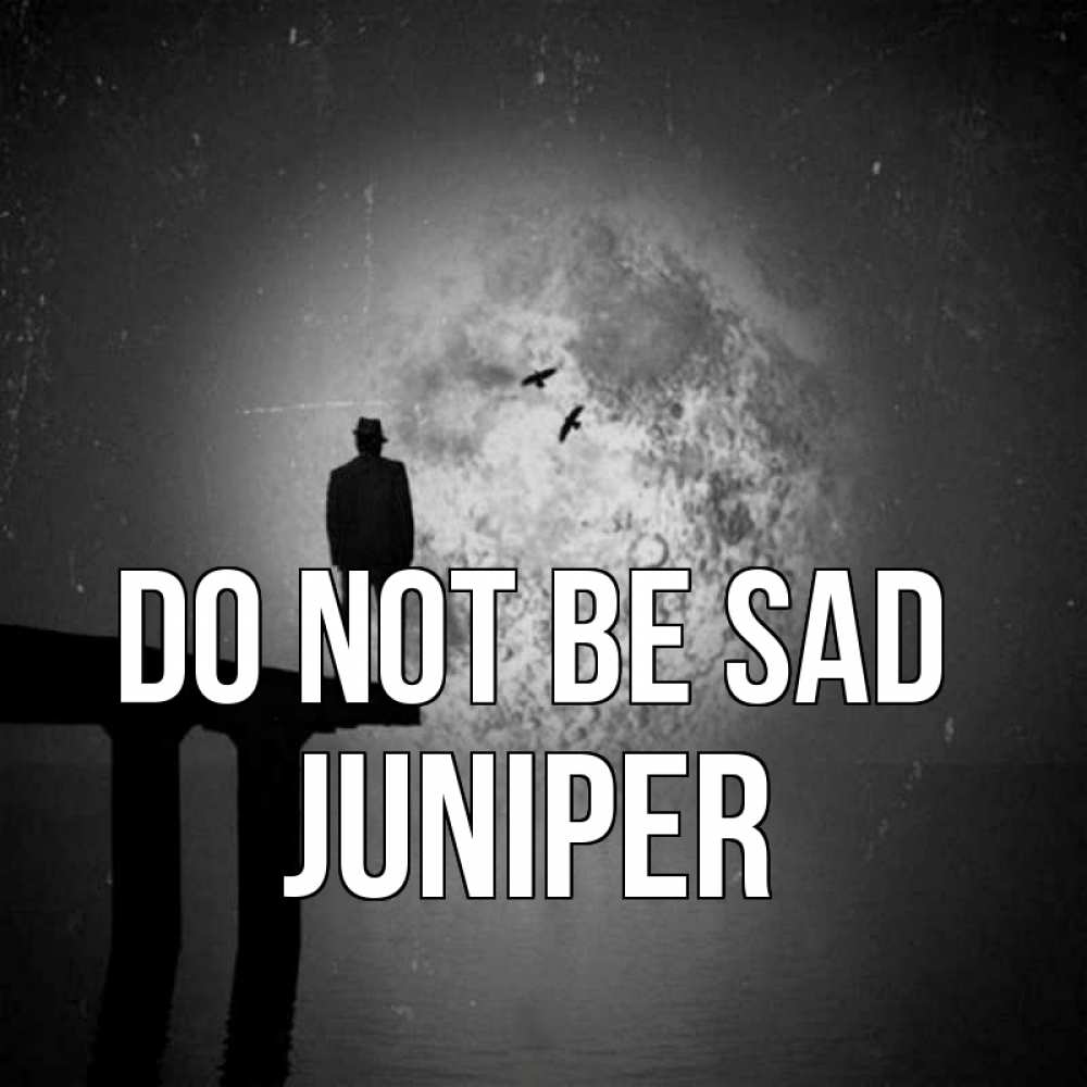 Greetings card с именем, Juniper Do not be sad мужчина на мосту Greetings with text for free download 