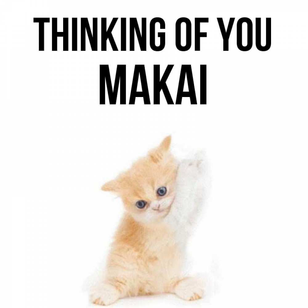 Greetings card с именем, Makai Thinking of you зверушки и милота Greetings with text for free download 
