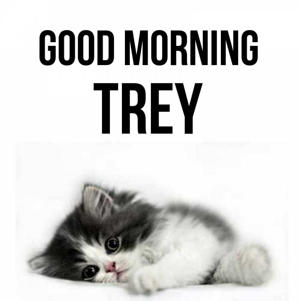 Greetings card с именем, Trey Good morning кот лапки Greetings with text for free download 