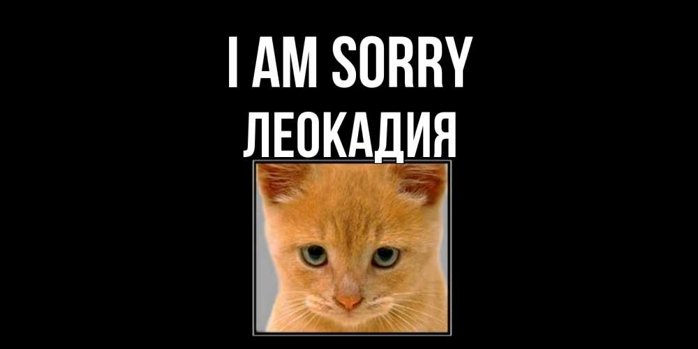 Greetings card с именем, Леокадия I am sorry рыжий грустный кот просит прощения Greetings with text for free download 