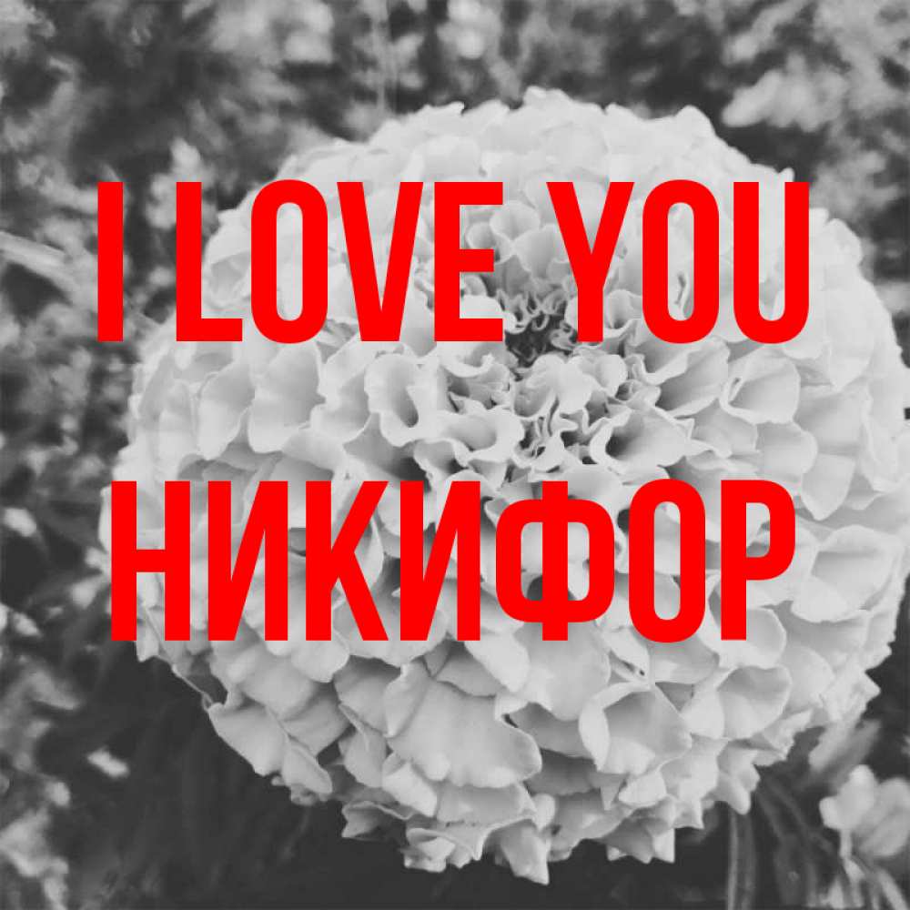 Greetings card с именем, Никифор I love you подпись Greetings with text for free download 