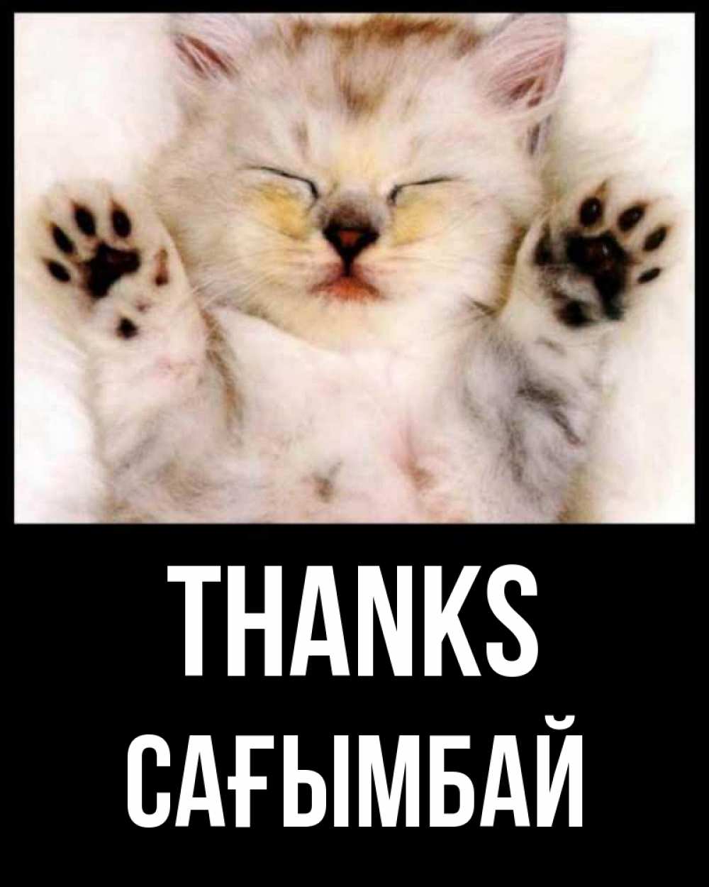 Greetings card с именем, Сағымбай Thanks маленький котенок Greetings with text for free download 