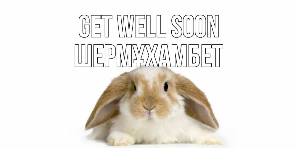 Greetings card с именем, ШЕРМҰХАМБЕТ Get well soon вислоухий кролик белого и коричневого цвета Greetings with text for free download 