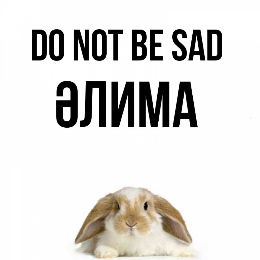 Greetings card с именем, ӘЛИМА Do not be sad коричнево белый заяц с большими ушками Greetings with text for free download 