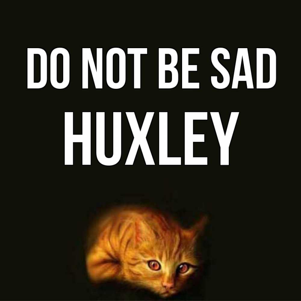 Greetings card с именем, Huxley Do not be sad лежащий кот в темноте Greetings with text for free download 