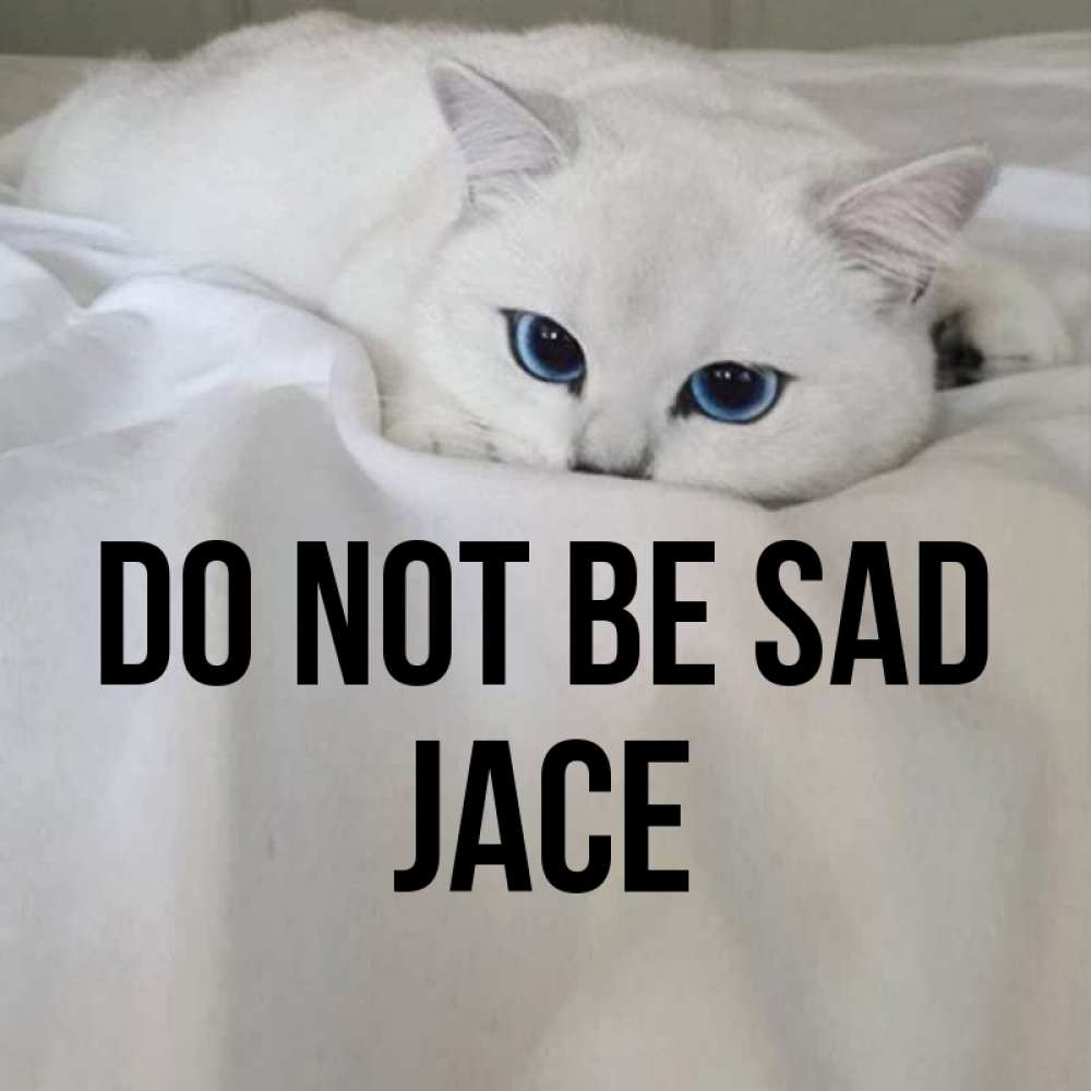 Greetings card с именем, Jace Do not be sad Голубоглазая кошка Greetings with text for free download 