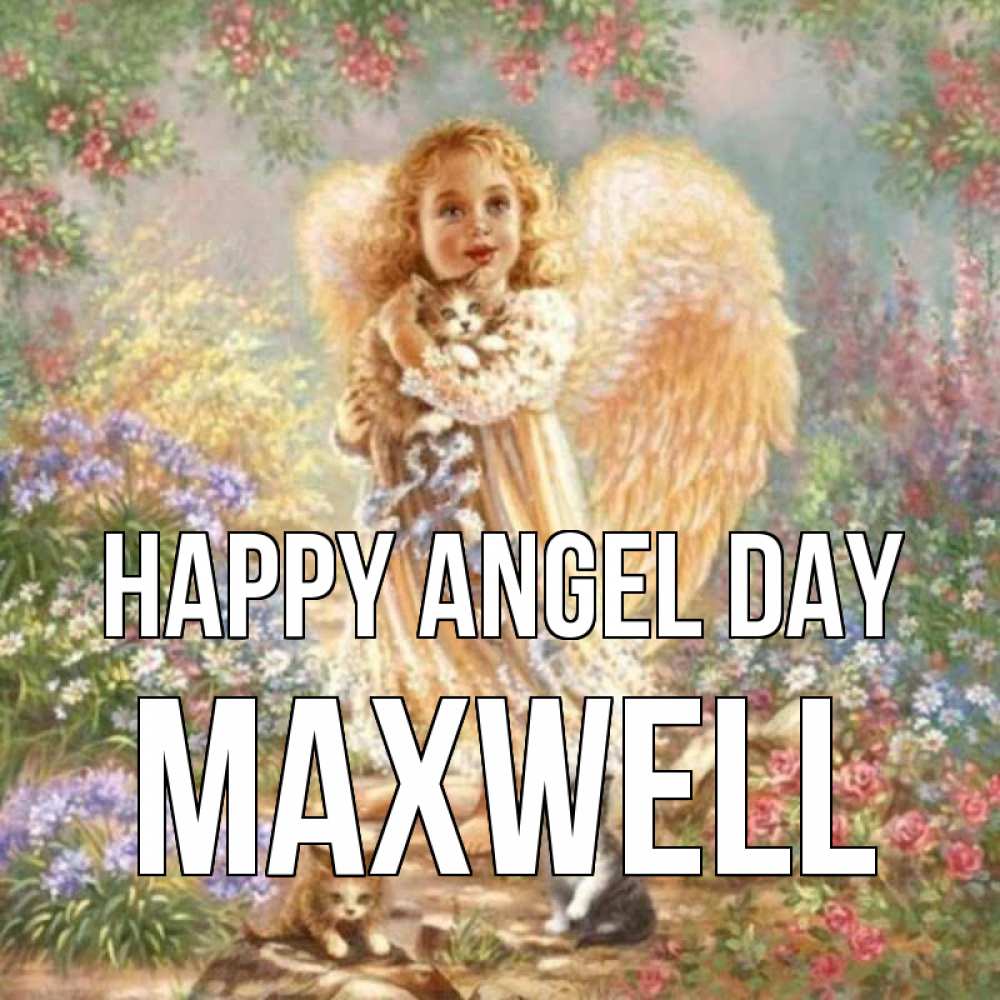 Greetings card с именем, Maxwell happy angel day держит котенка Greetings with text for free download 