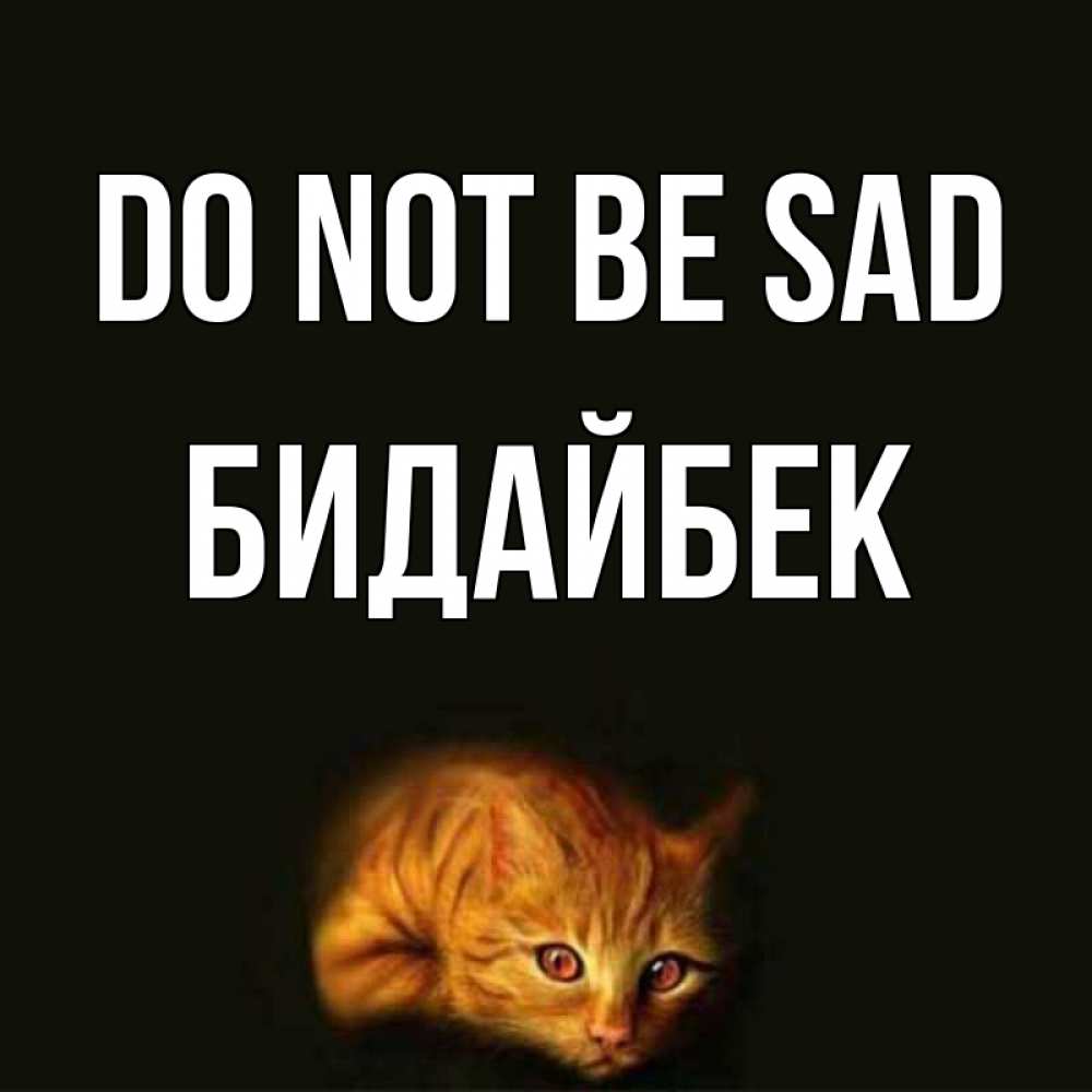Greetings card с именем, Бидайбек Do not be sad лежащий кот в темноте Greetings with text for free download 