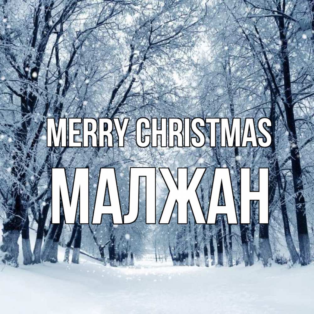Greetings card с именем, МАЛЖАН Merry Christmas снег, лес, парк Greetings with text for free download 