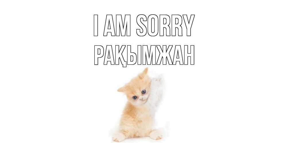 Greetings card с именем, Рақымжан I am sorry кот Greetings with text for free download 