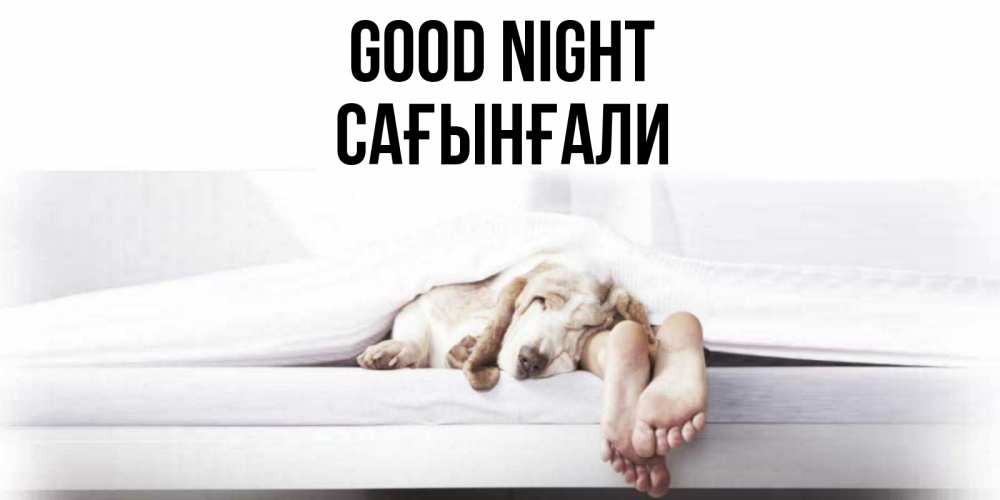 Greetings card с именем, Сағынғали Good night кровать с собакой пожелание сладких снов и спокойной ночи Greetings with text for free download 