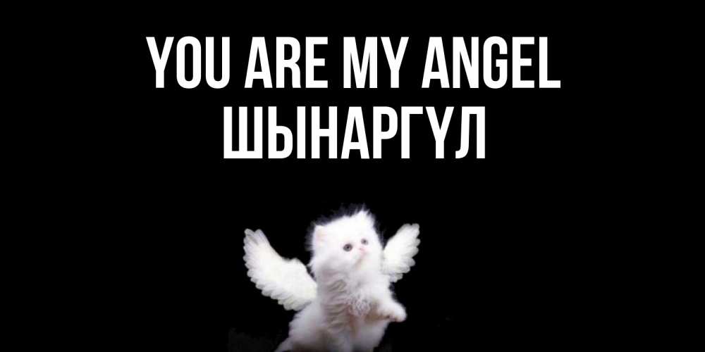 Greetings card с именем, ШЫНАРГҮЛ You are my angel Кот ангел Greetings with text for free download 