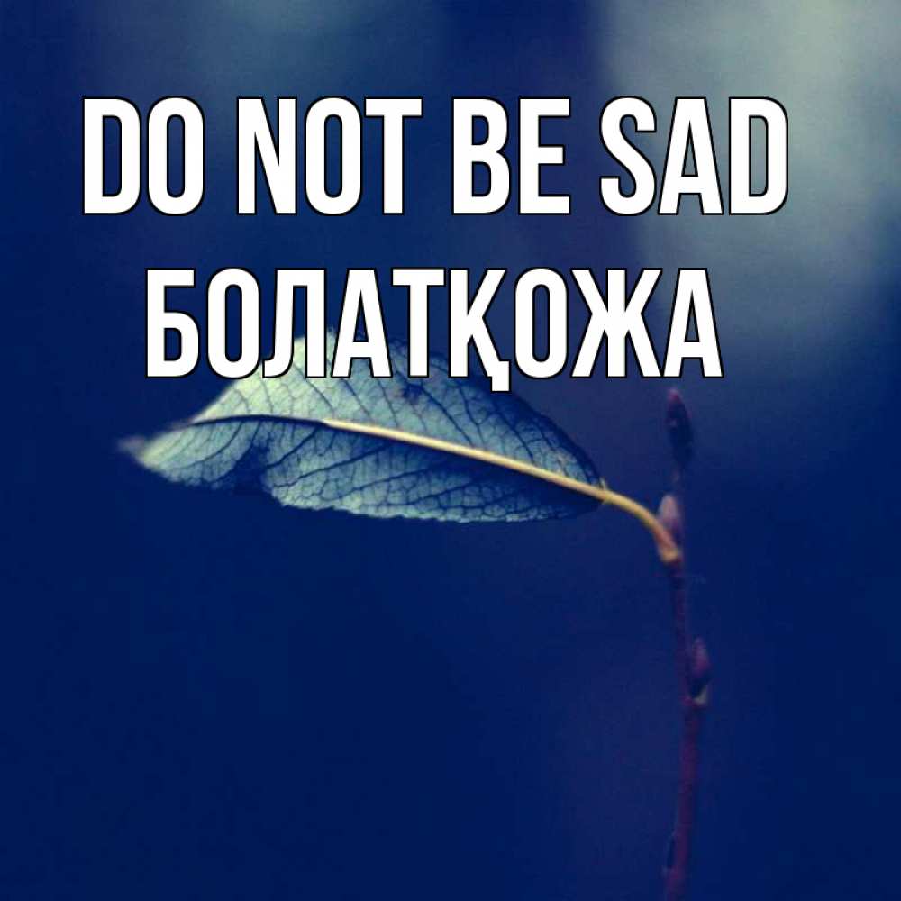 Greetings card с именем, Болатқожа Do not be sad растение Greetings with text for free download 