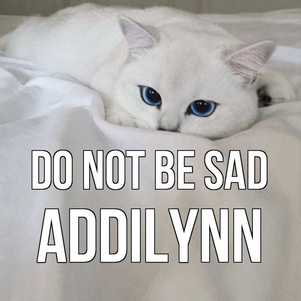 Greetings card с именем, Addilynn Do not be sad белый кот с голубыми глазами на белоснежной кровати Greetings with text for free download 